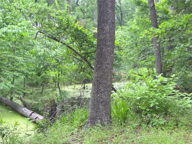 LOT618 Spur 294, Corsicana, TX 75109