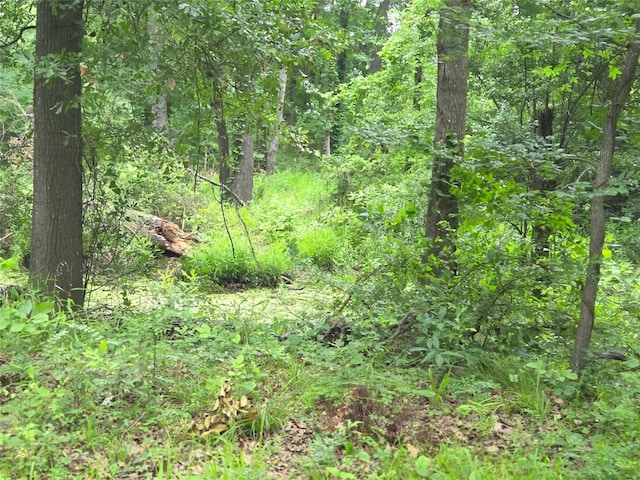 LOT618 Spur 294, Corsicana, TX 75109
