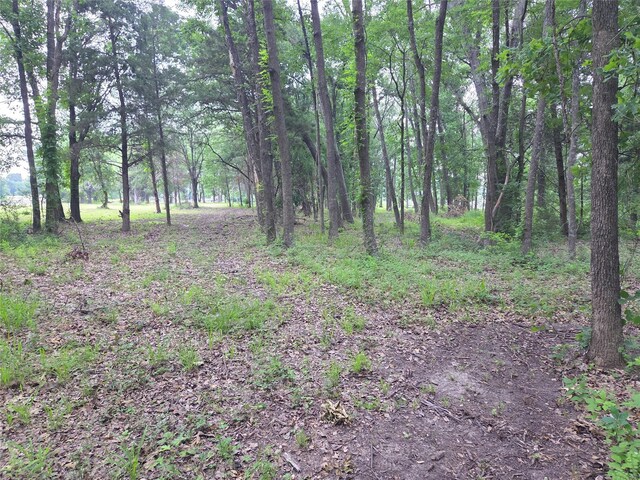 LOT618 Spur 294, Corsicana, TX 75109