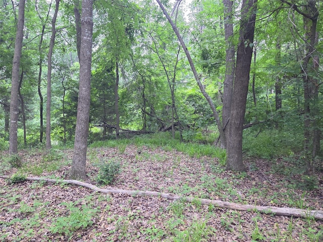 LOT618 Spur 294, Corsicana, TX 75109