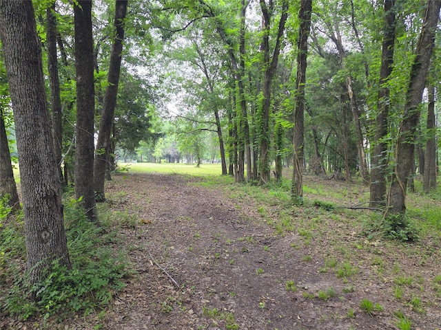 LOT618 Spur 294, Corsicana, TX 75109