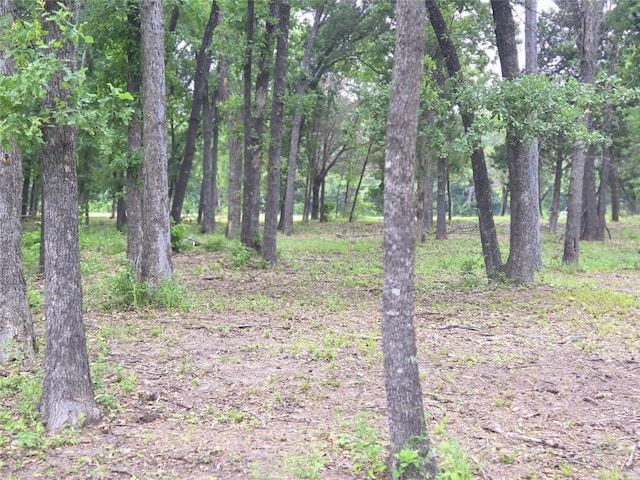 LOT618 Spur 294, Corsicana, TX 75109