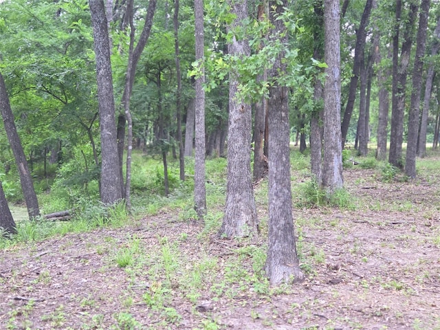 LOT618 Spur 294, Corsicana, TX 75109