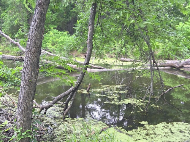 LOT618 Spur 294, Corsicana, TX 75109