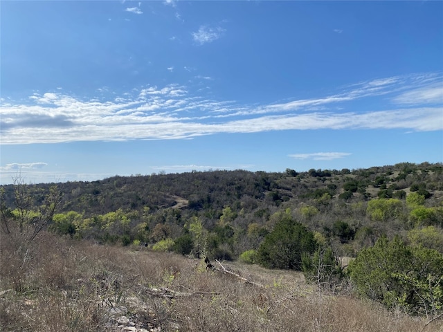 Listing photo 3 for TRACT6 County Road 132, Stephenville TX 76401