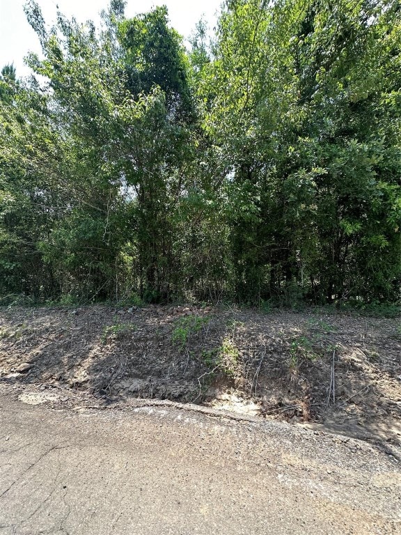 00 Jessie Latin Rd, Gloster LA, 71027 land for sale