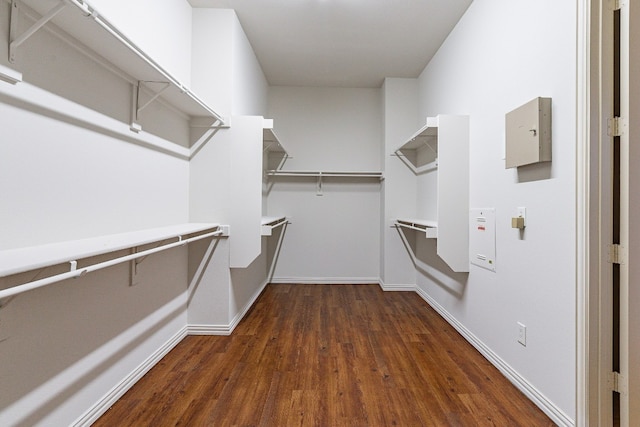 spacious closet featuring dark wood-type flooring