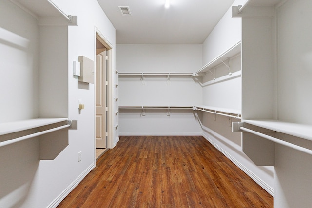 spacious closet featuring dark wood-type flooring