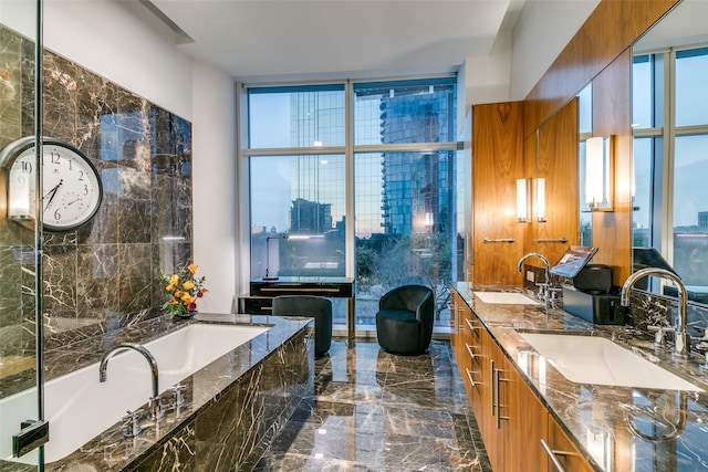 bathroom with vanity and a bathtub