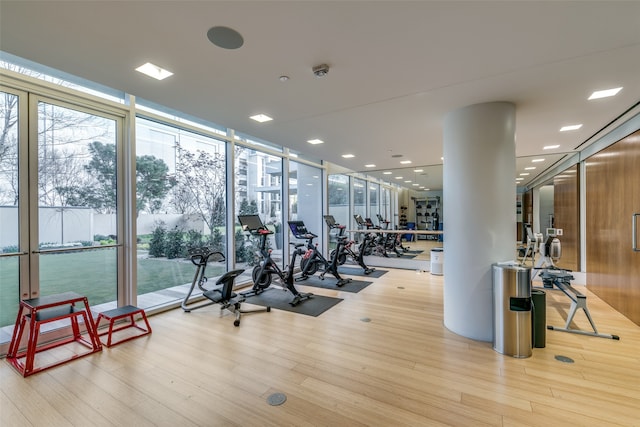 gym featuring light hardwood / wood-style floors and a wall of windows