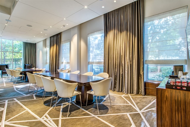 dining room featuring a healthy amount of sunlight