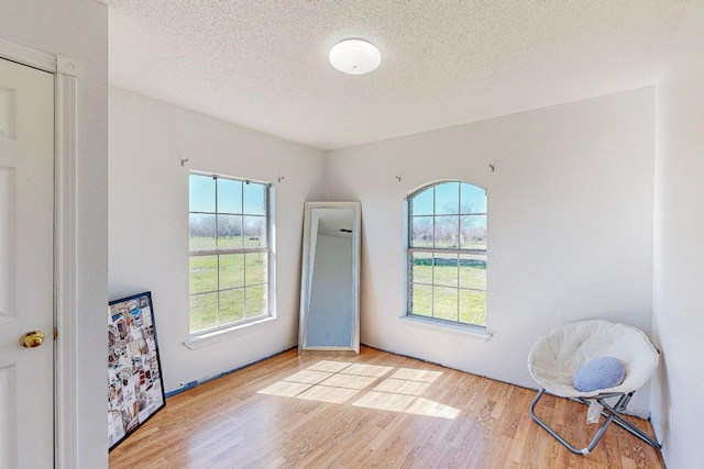 unfurnished room with a textured ceiling and light wood-type flooring