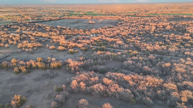 view of drone / aerial view