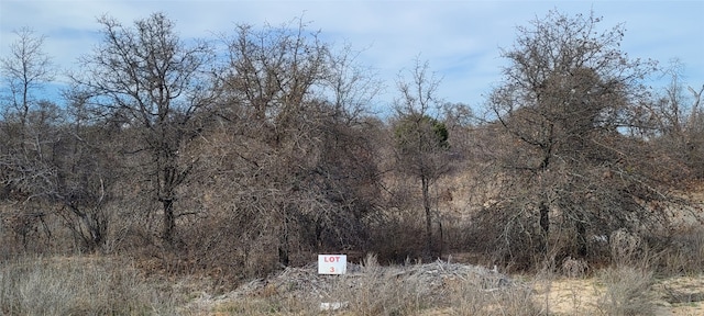 Listing photo 2 for LOT3 Live Oak Trl, Clyde TX 79510