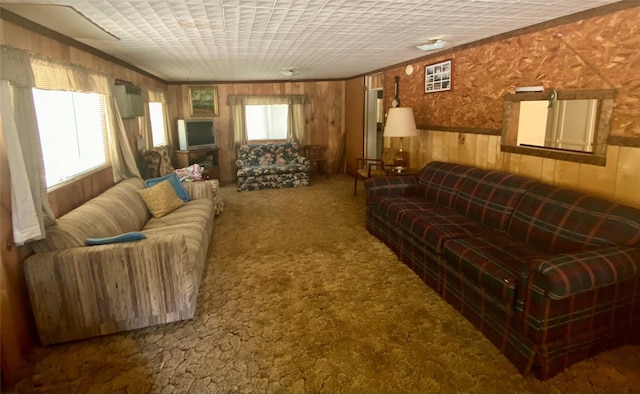 living room featuring wood walls, dark carpet, and a healthy amount of sunlight