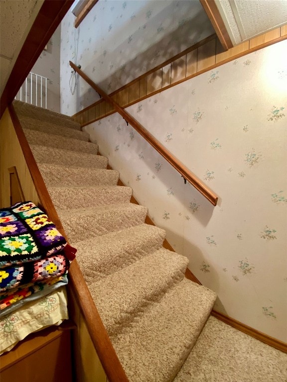 stairs with carpet flooring