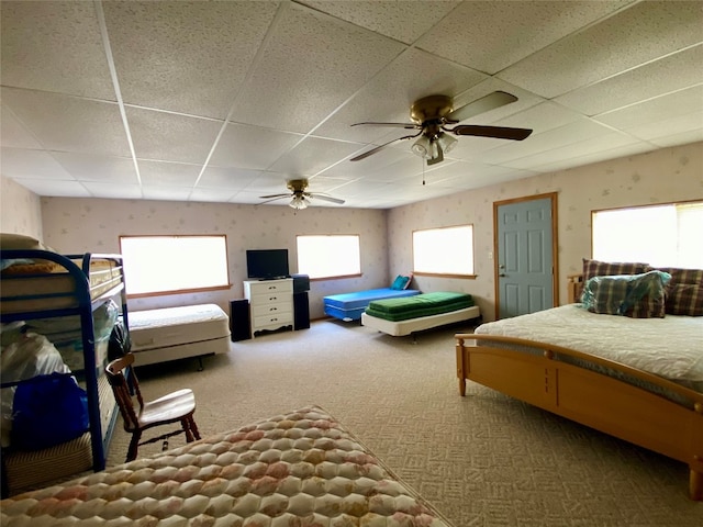 bedroom featuring ceiling fan, a drop ceiling, and carpet flooring