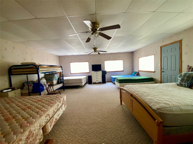 bedroom with ceiling fan, carpet flooring, and a drop ceiling