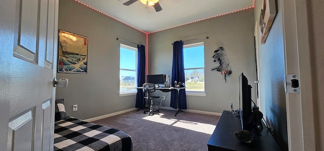 exercise area featuring ceiling fan and dark colored carpet