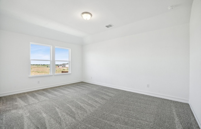 spare room featuring carpet floors