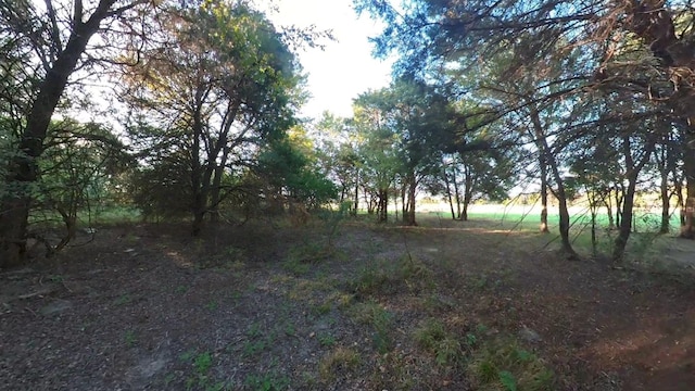 Listing photo 3 for LOT49 Caddo Trl, Corsicana TX 75109