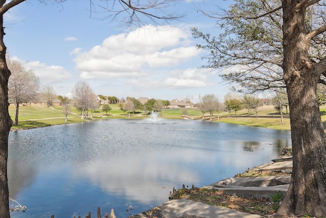 property view of water