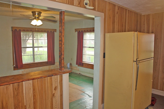 kitchen featuring wood walls, white fridge, and a wealth of natural light