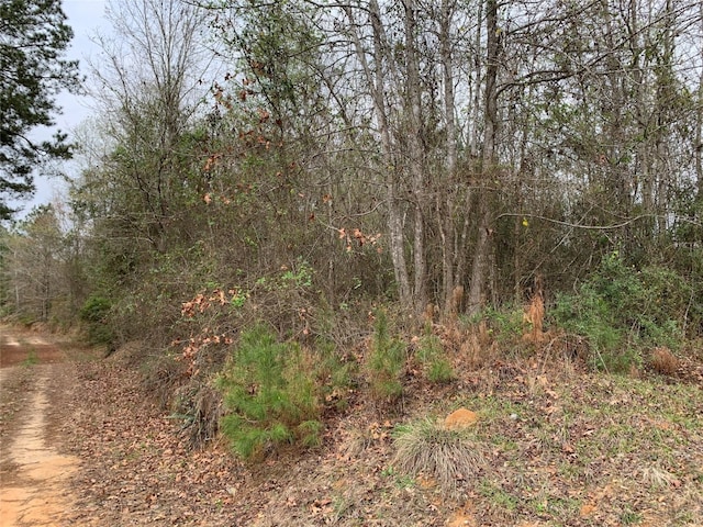 0 Sikes Orchard Rd, Jamestown LA, 71045 land for sale