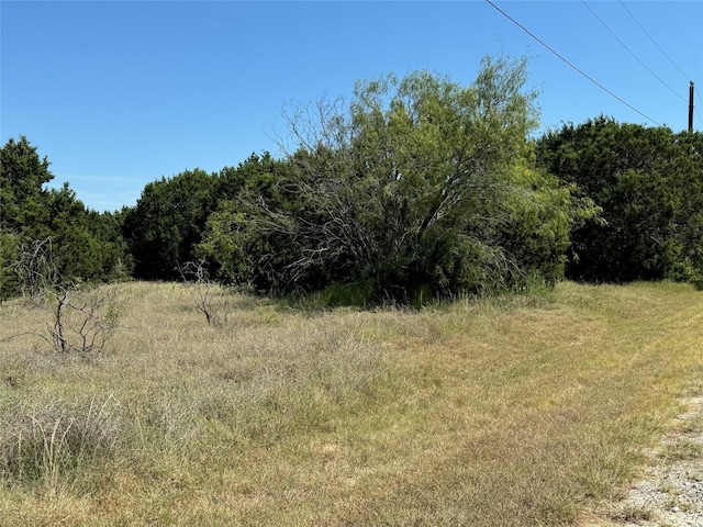 Listing photo 3 for 40057 Radde Rd, Whitney TX 76692