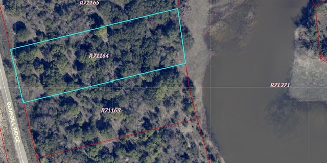 1015 Bluegill Rdg, Bluff Dale TX, 76433 land for sale