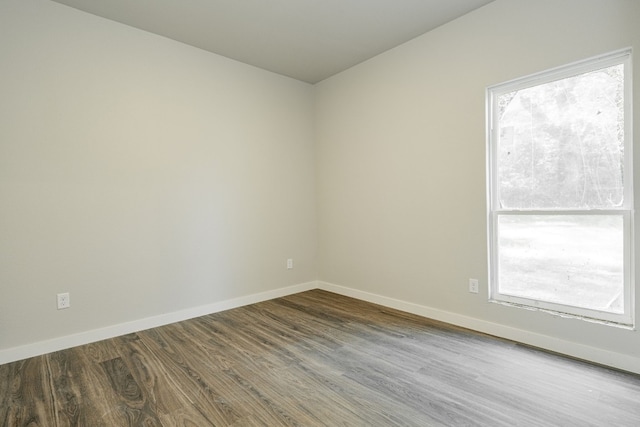 empty room featuring plenty of natural light and wood-type flooring