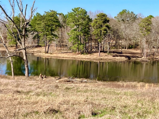 Listing photo 2 for LOT64 White Oak Crk, Big Sandy TX 75755