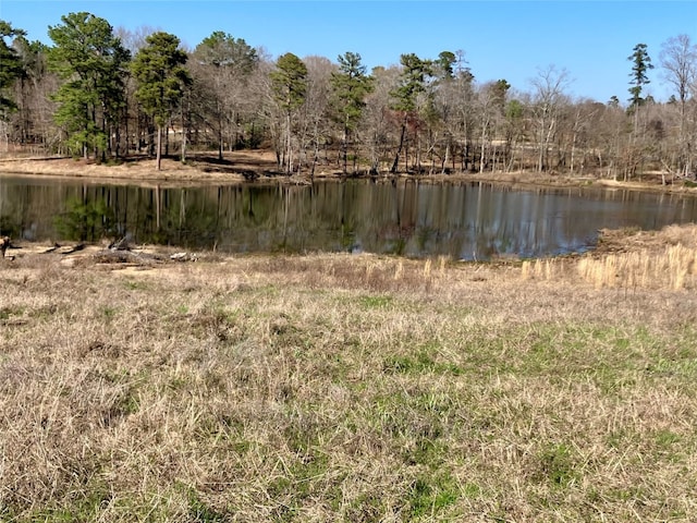 Listing photo 3 for LOT64 White Oak Crk, Big Sandy TX 75755