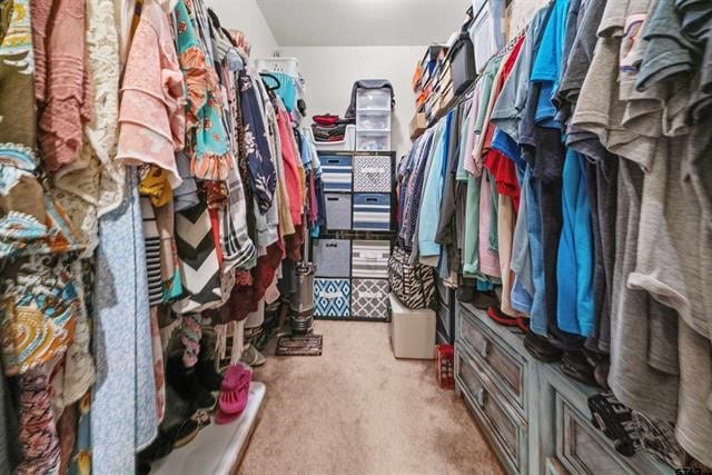 spacious closet with light colored carpet