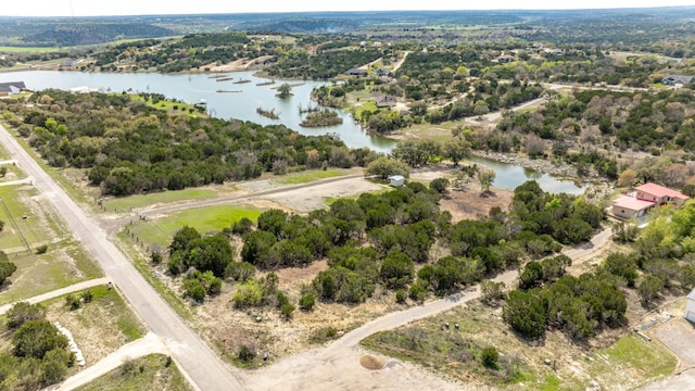 376 Anglers Pt, Bluff Dale TX, 76433 land for sale