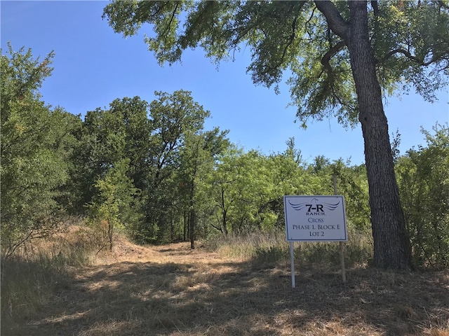 Listing photo 2 for E2 Mallard Cir, Gordon TX 76453