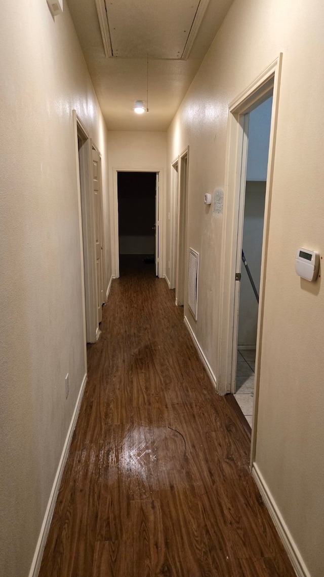 corridor with dark hardwood / wood-style flooring