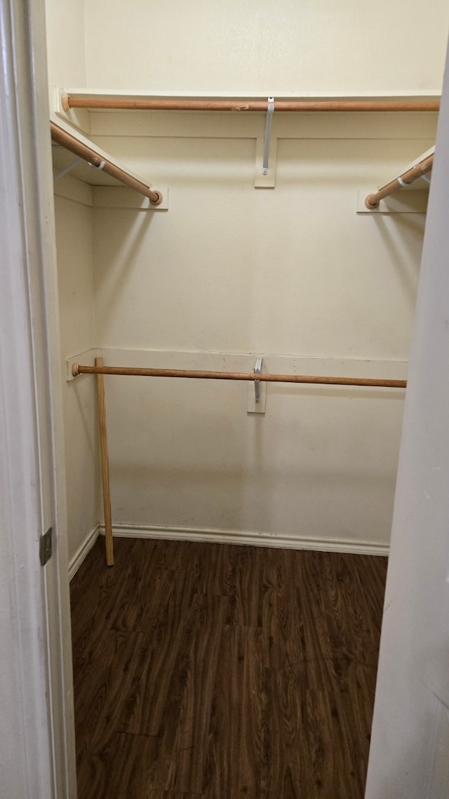 spacious closet featuring dark hardwood / wood-style floors