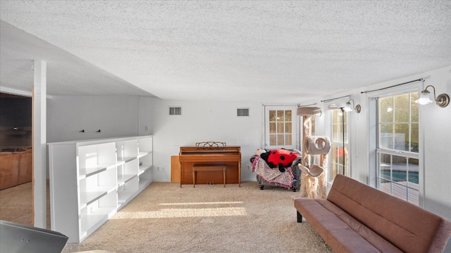 sitting room featuring a textured ceiling and light colored carpet