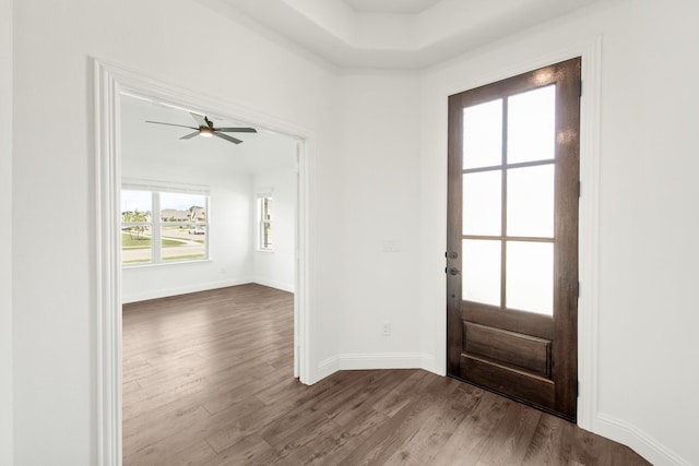 foyer with hardwood / wood-style floors and ceiling fan