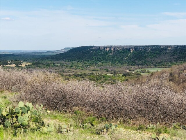 LOT220 Oak Tree Dr, Possum Kingdom Lake TX, 76449 land for sale