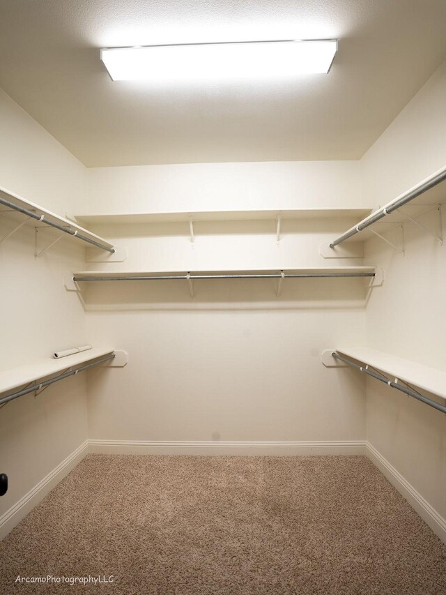 walk in closet with carpet floors