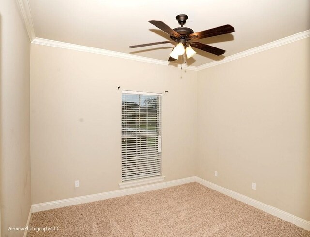 carpeted spare room featuring ceiling fan and crown molding