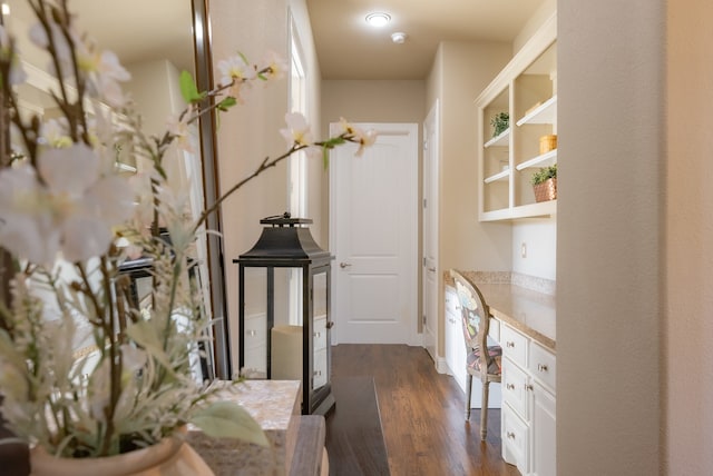 hallway featuring dark hardwood / wood-style flooring