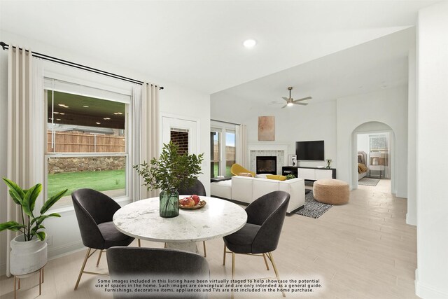 dining room with ceiling fan and light hardwood / wood-style flooring