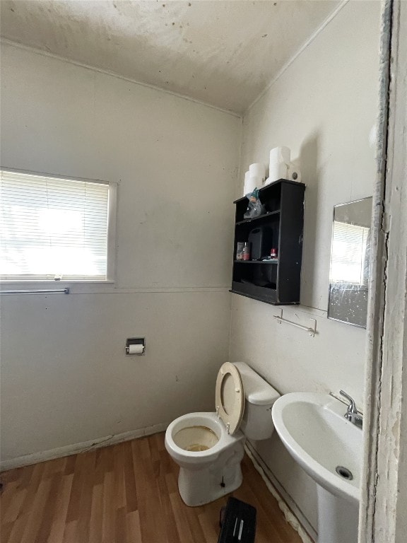 bathroom with toilet, wood-type flooring, and sink