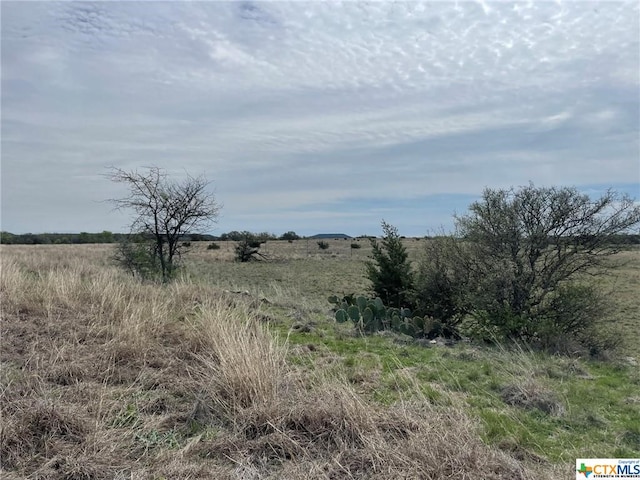 Listing photo 3 for LOT9 Cottonwood Mesa Dr, Kempner TX 76539