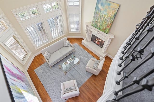 living room featuring wood-type flooring and a premium fireplace