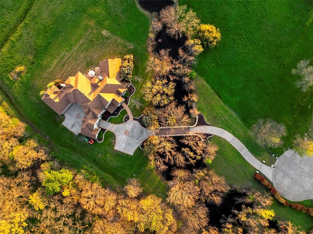 3000 Bluffs Ln, Parker, TX 75002 - bird's eye view
