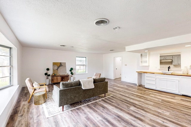 living room featuring hardwood / wood-style floors, a textured ceiling, and sink